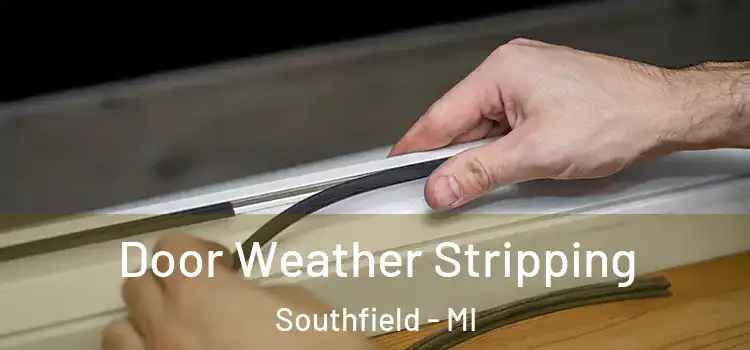 Door Weather Stripping Southfield - MI