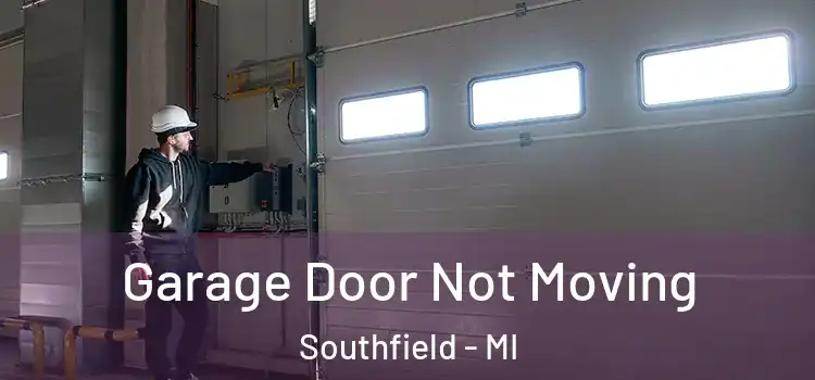  Garage Door Not Moving Southfield - MI