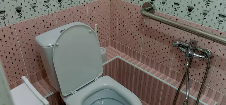 Meeting Diverse Needs With Accessible Restroom Solutions in Southfield, MI