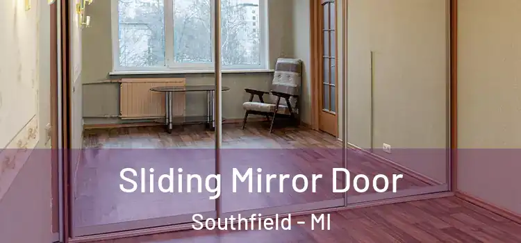  Sliding Mirror Door Southfield - MI